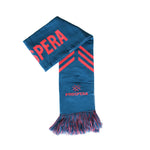Load image into Gallery viewer, Scarf - Marketing Only
